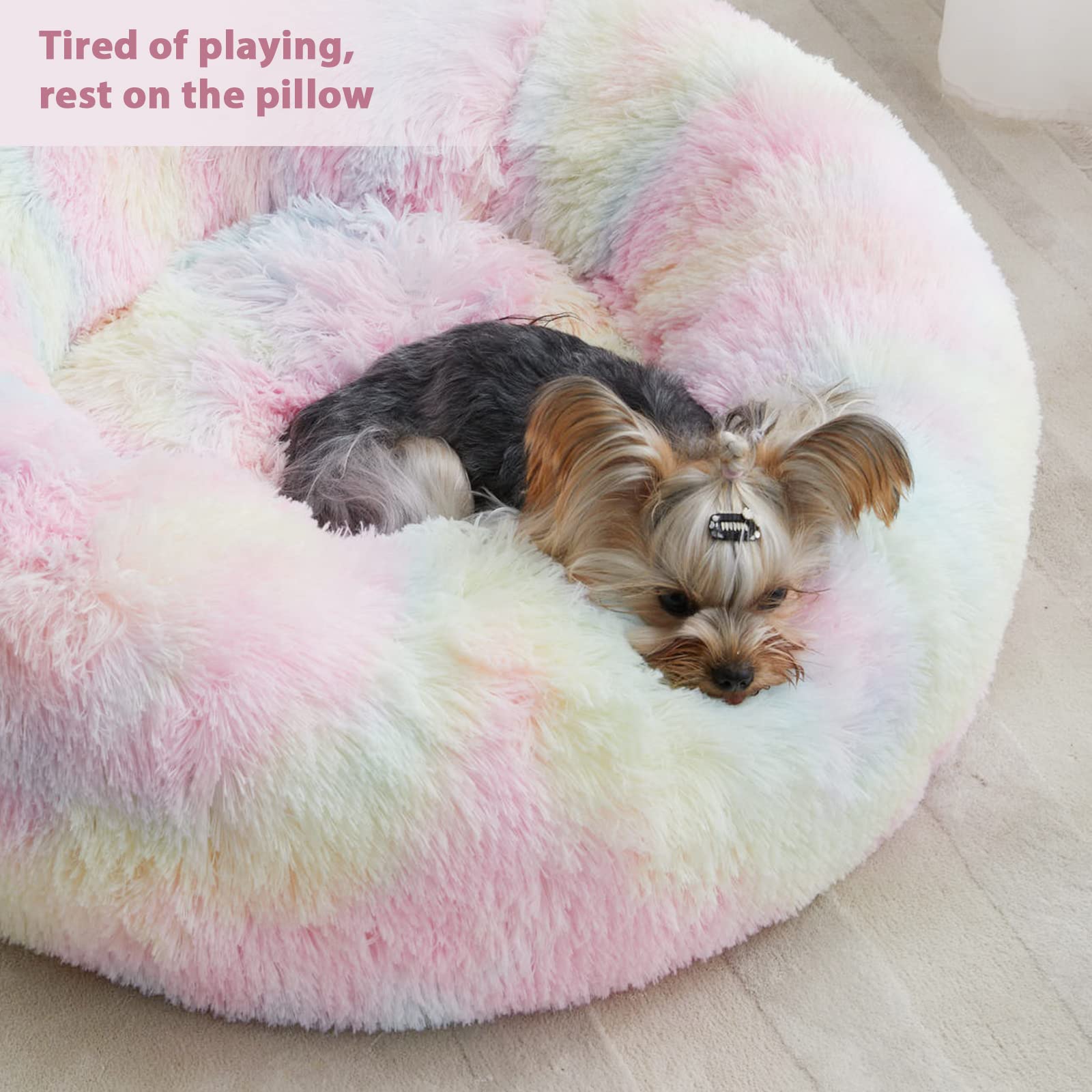 Talla media WNPETHOME, ideal para perros hasta 30 libras.