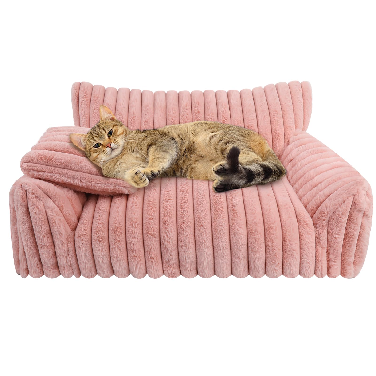 Producto rosa de Wn's Day para hogares modernos y cálidos