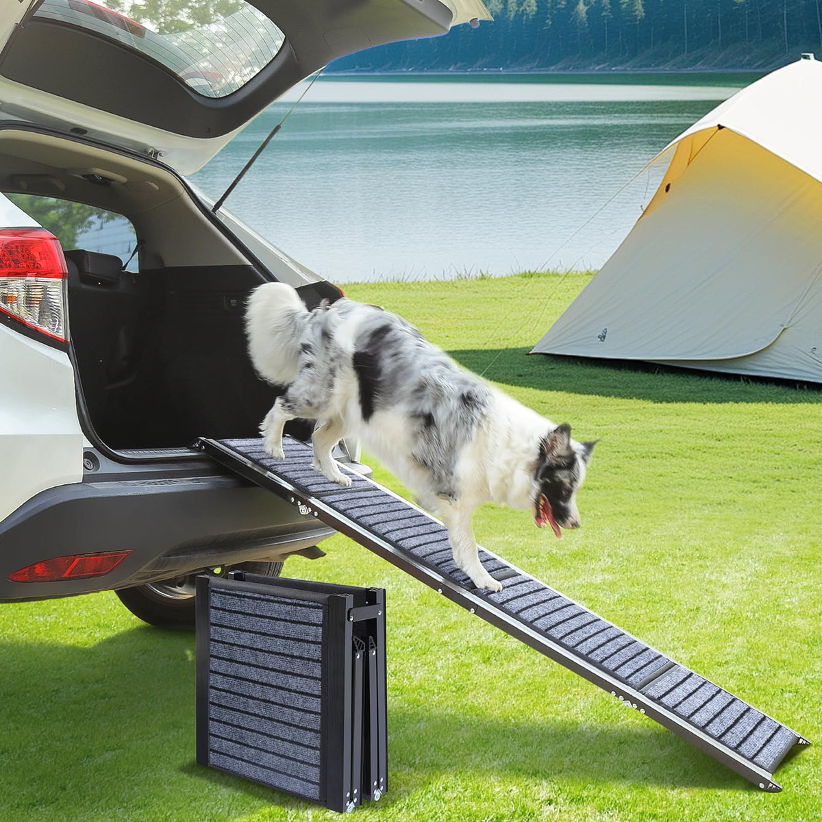 Rampa para perros Wn's Day de 63 pulgadas para coche, paso seguro