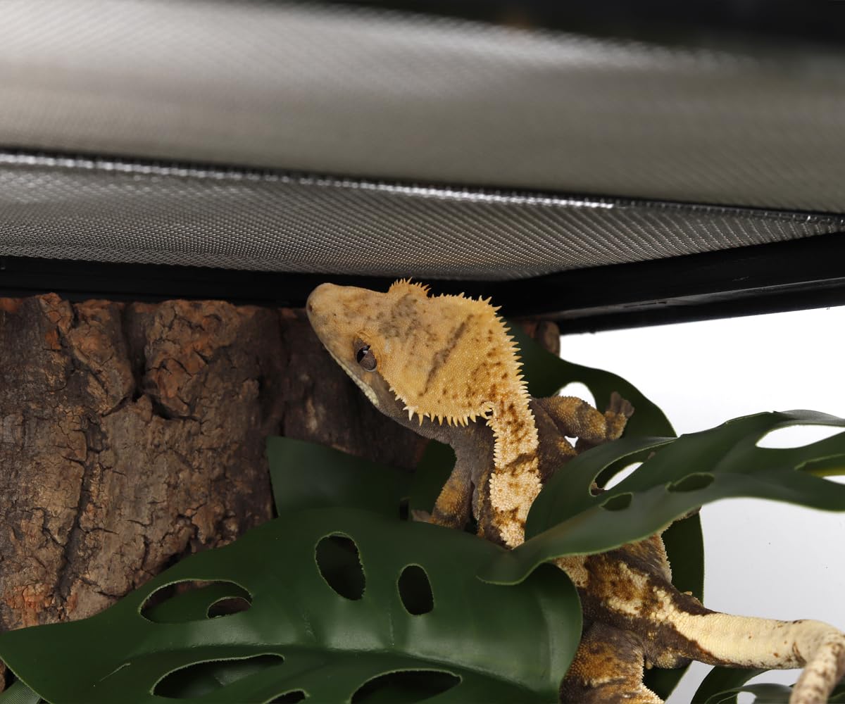 WOLEDOE plantas artificiales para reptiles como geckos y camaleones.
