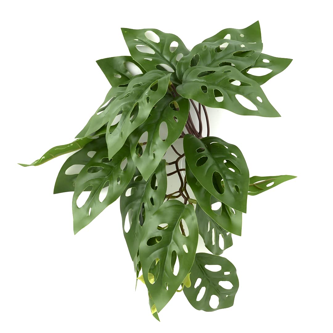 WOLEDOE plantas artificiales para terrario con ventosas, fijación fácil.
