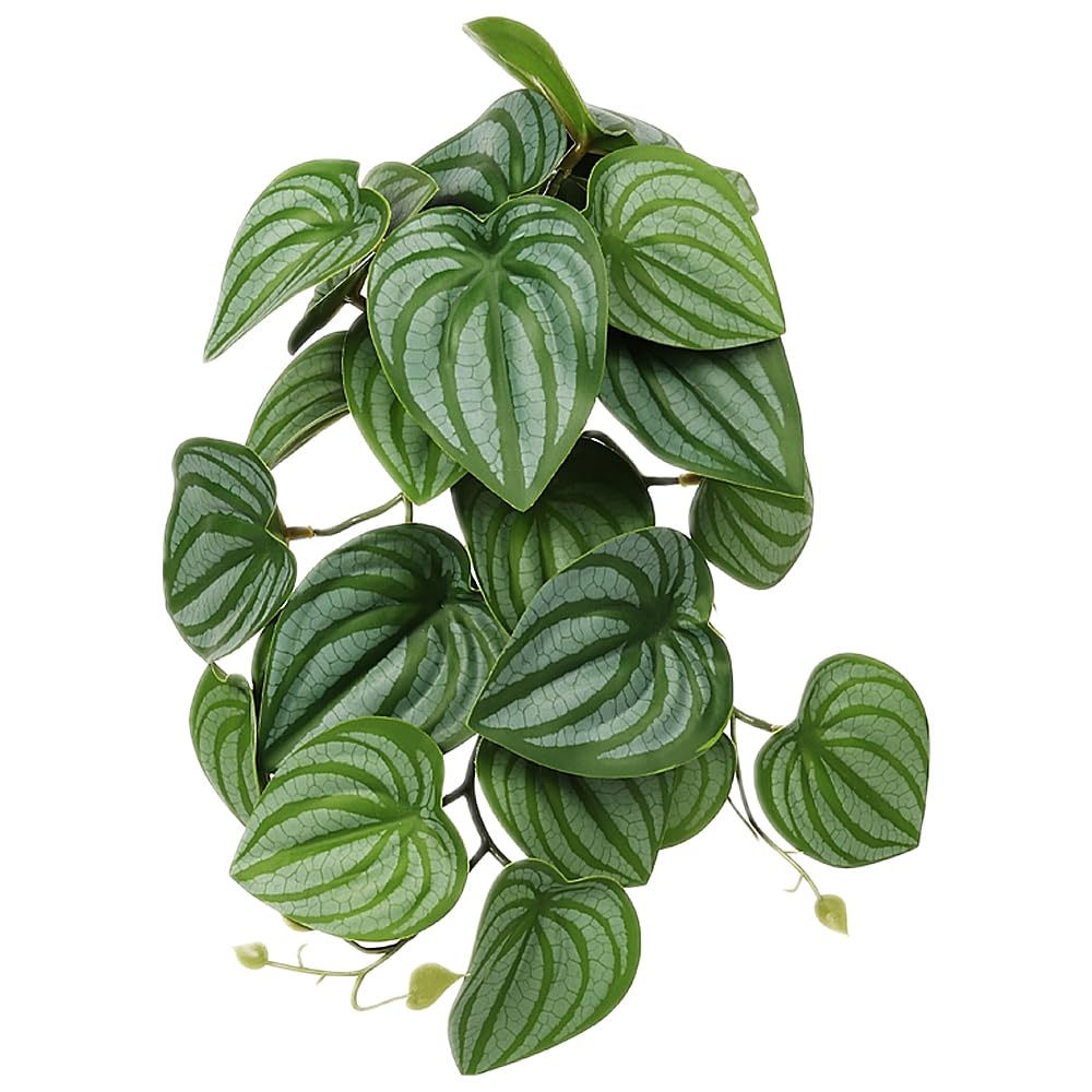 WOLEDOE plantas colgantes con ventosa para terrario, decoración estable y realista.