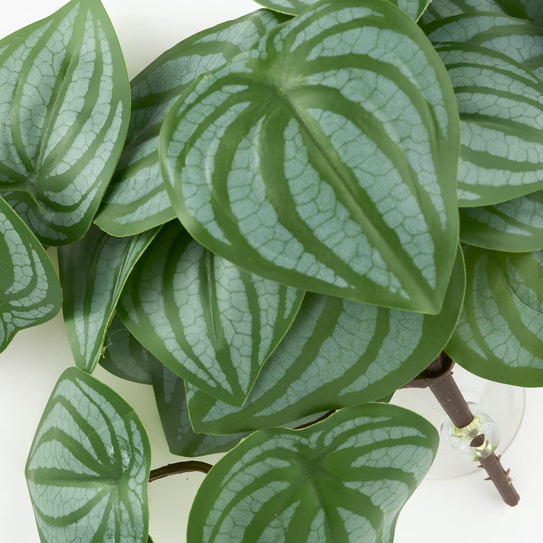 WOLEDOE plantas decorativas para terrario aportan ambiente natural.