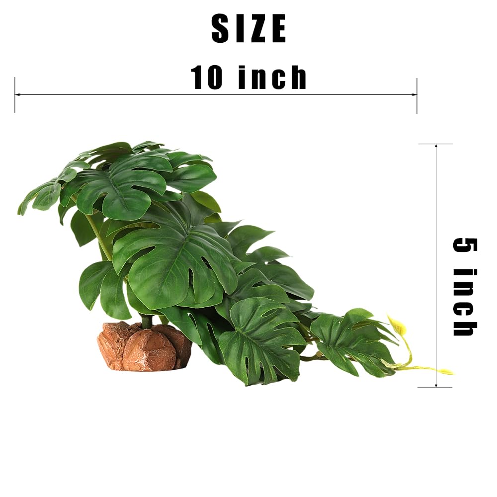 WOLEDOE planta reptil, base de roca estable para un hábitat seguro