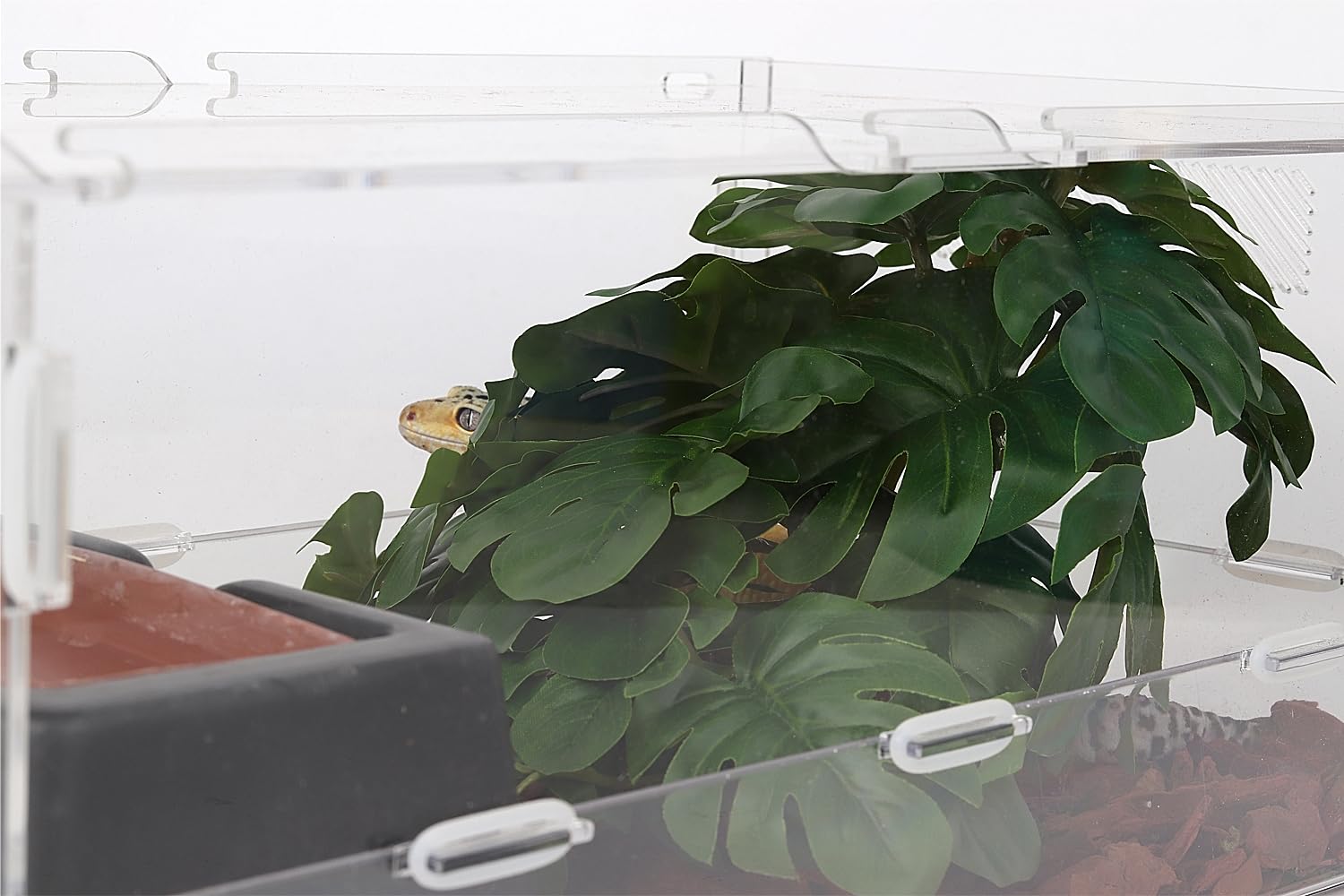 WOLEDOE plantas reptiles, compatibles con dragón barbudo y geckos