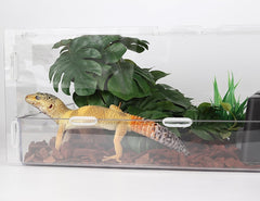 WOLEDOE planta reptil, limpieza fácil para mantener el terrario impecable