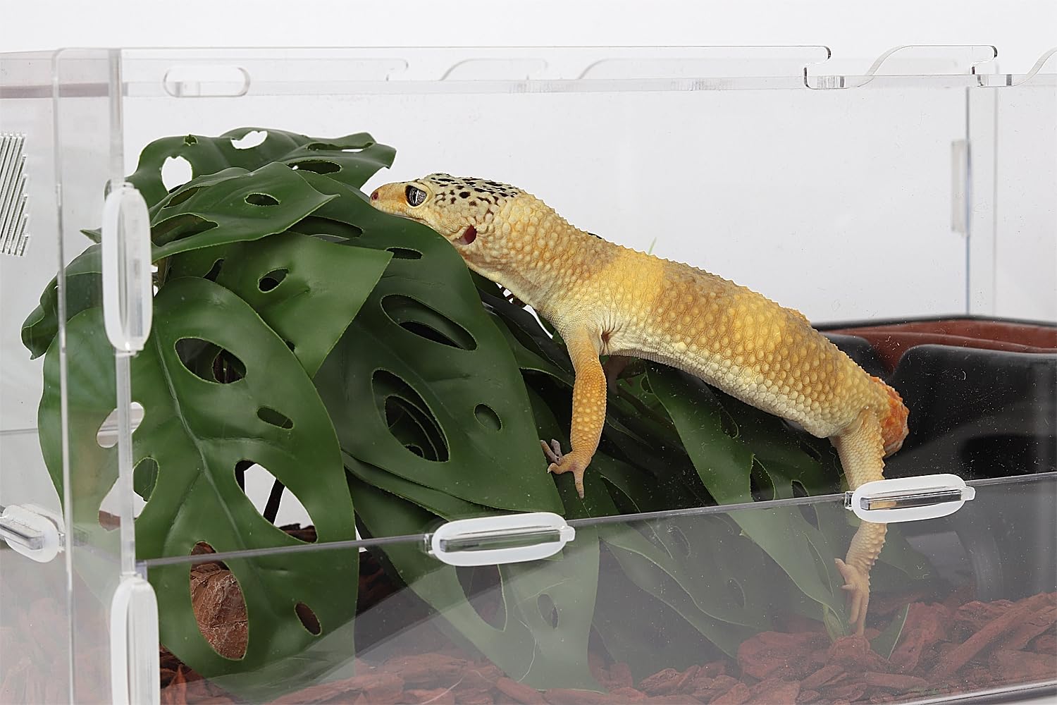 WOLEDOE plantas terrario decorando con múltiples reptiles dragón barbudo y gecko