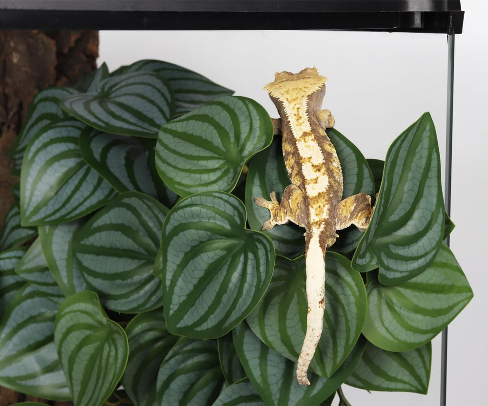 WOLEDOE decoración de terrario con plantas resistentes para uso prolongado.