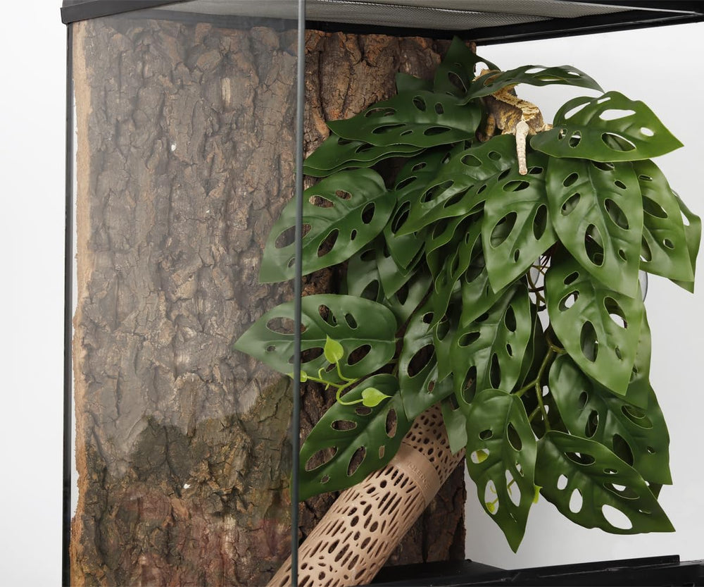 WOLEDOE plantas para terrario fáciles de limpiar con paño húmedo.