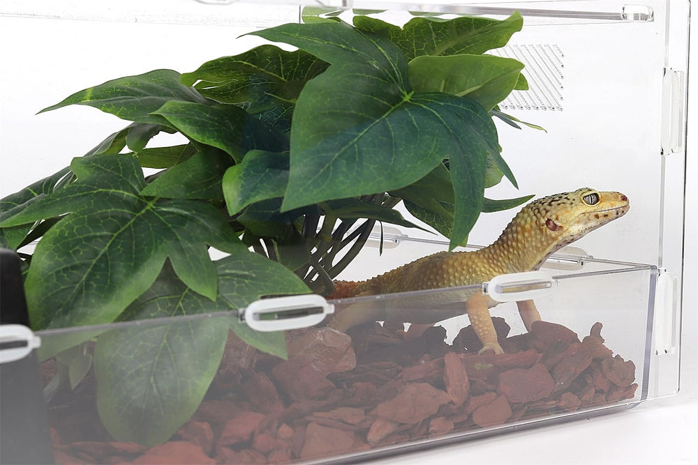 WOLEDOE diseño natural para terrario que realza el entorno