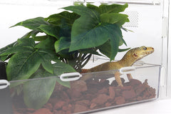 WOLEDOE diseño natural para terrario que realza el entorno