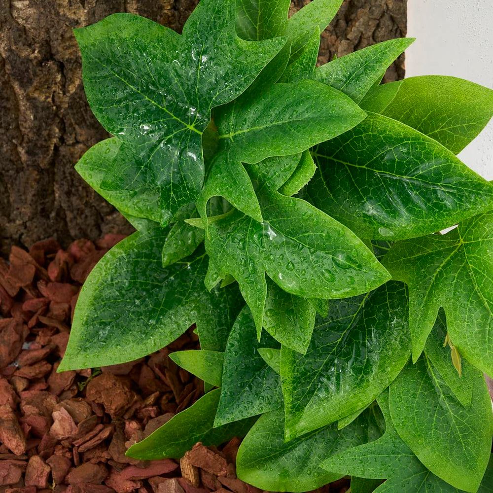 WOLEDOE producto fácil de limpiar, mantenimiento sencillo