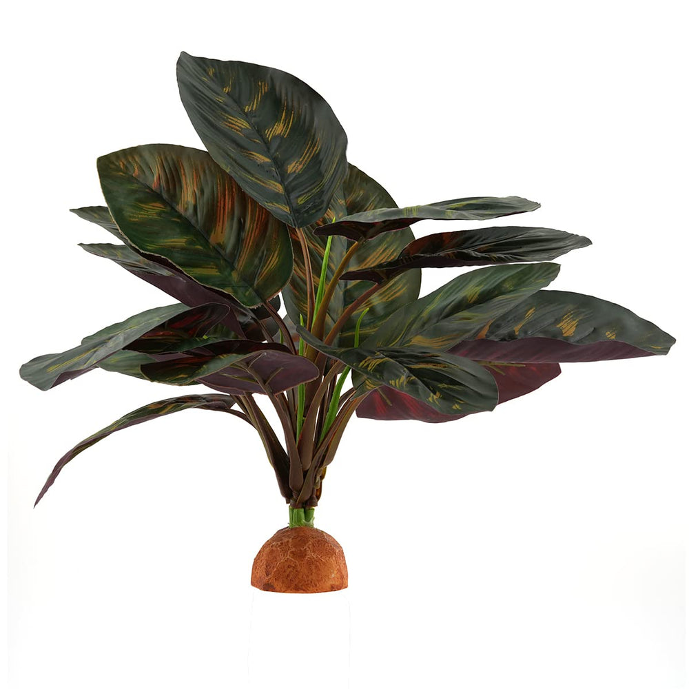 WOLEDOE Base de roca estable para planta decorativa de terrario