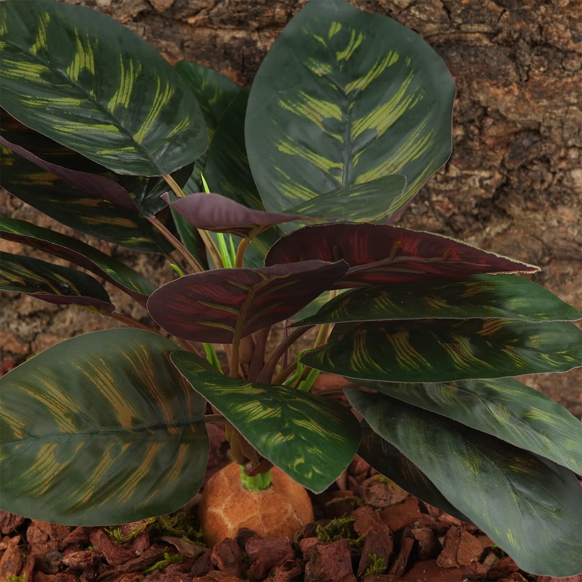WOLEDOE Decoración duradera para terrario con aspecto natural