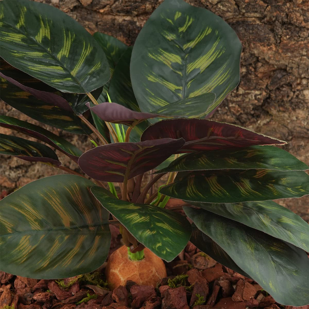 WOLEDOE Decoración duradera para terrario con aspecto natural
