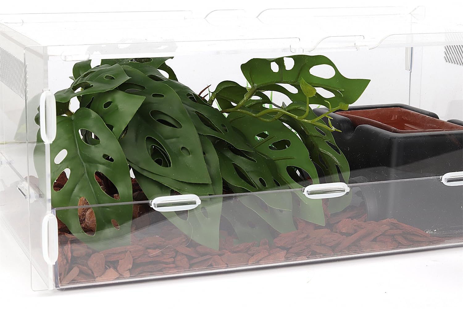 WOLEDOE planta terrario muestra textura realista y colores vivos
