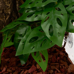 WOLEDOE vegetación para reptiles que crea hábitat natural.