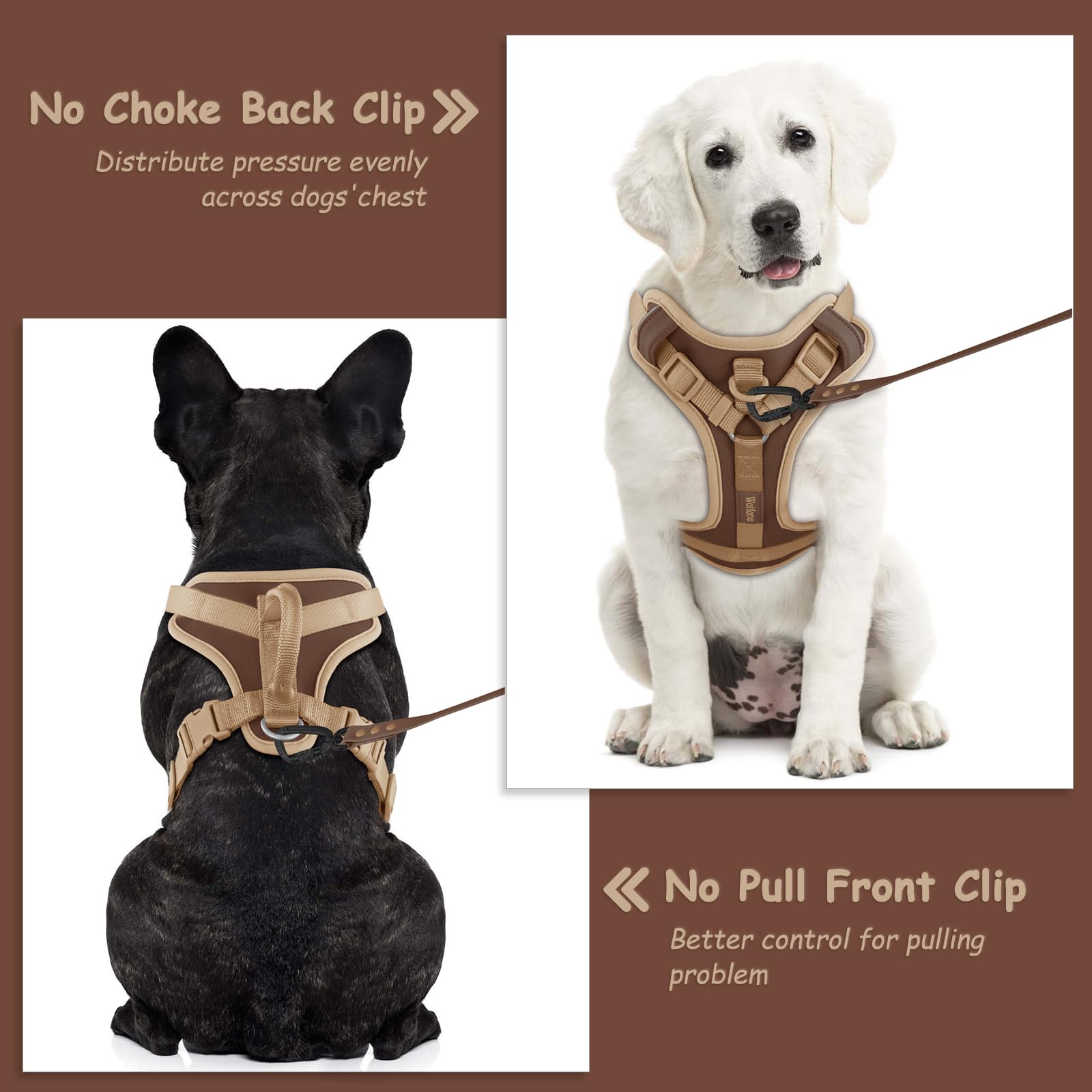 Arnes Wolfone disponible en multiples colores y tallas para perros de raza variada