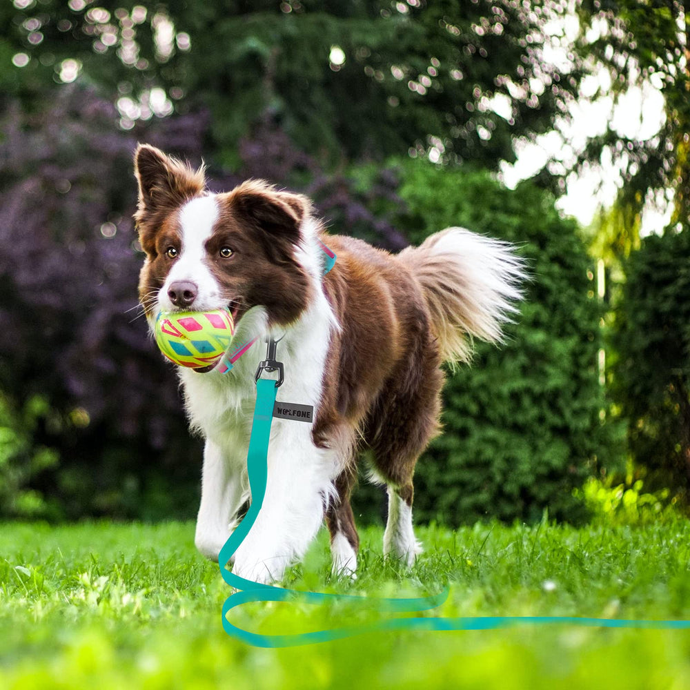 Wolfone: perfecto para actividades al exterior como camping, playa y caminatas con tu perro.