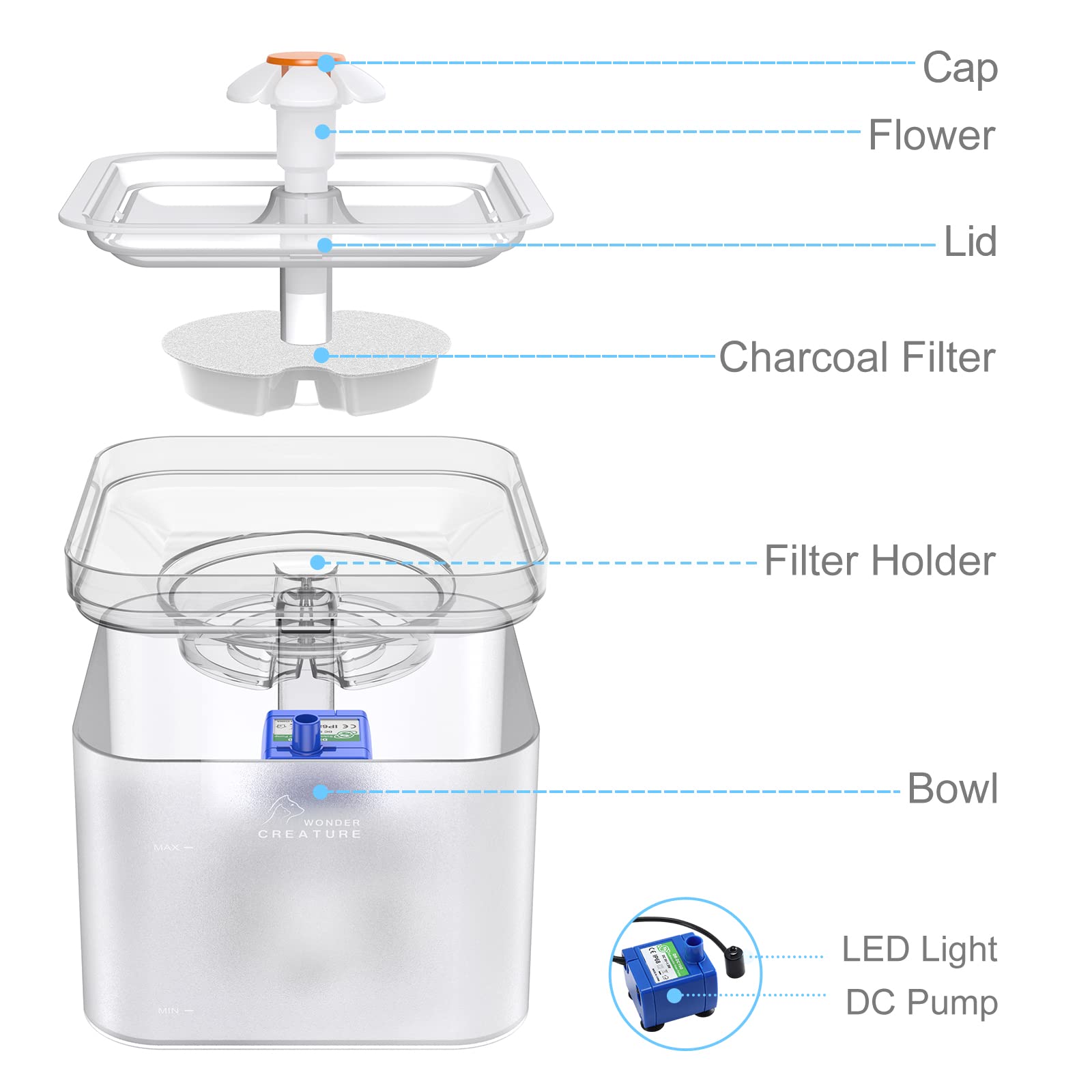 Capacidad de 2 litros Wonder Creature para varias tazas de agua.