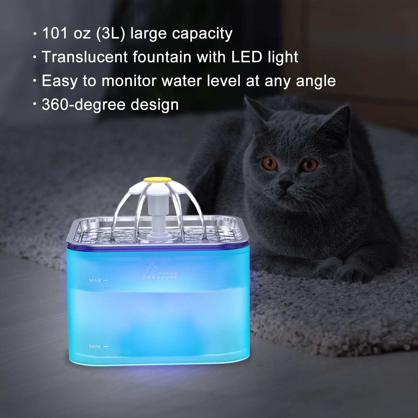 Fuente Wonder Creature con base transparente para observar el agua con claridad.