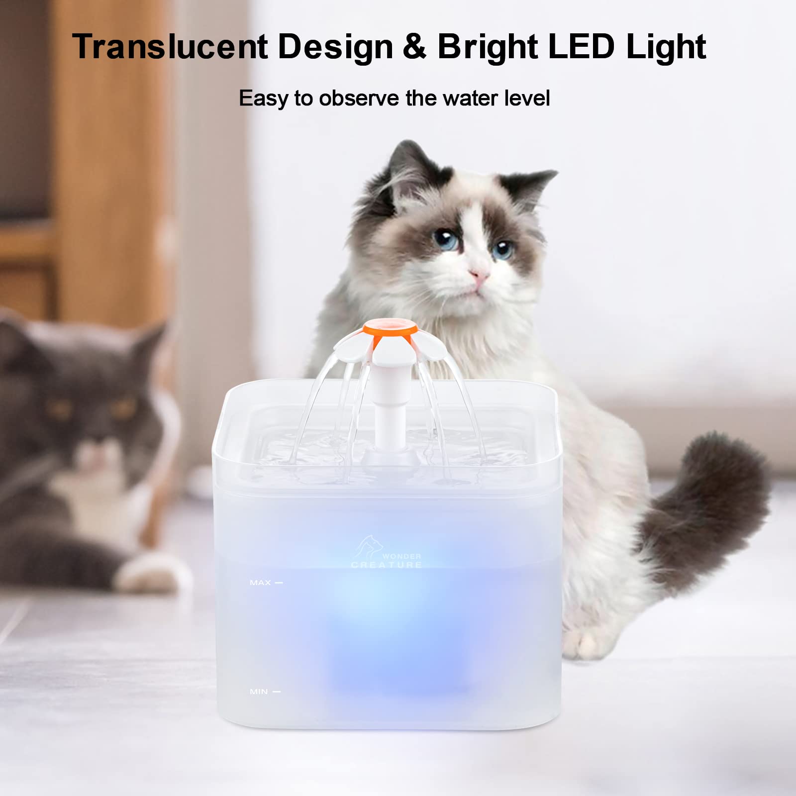 Pared transparente de Wonder Creature con LED para vigilar el nivel.