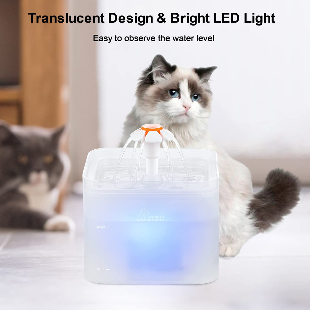Pared transparente de Wonder Creature con LED para vigilar el nivel.