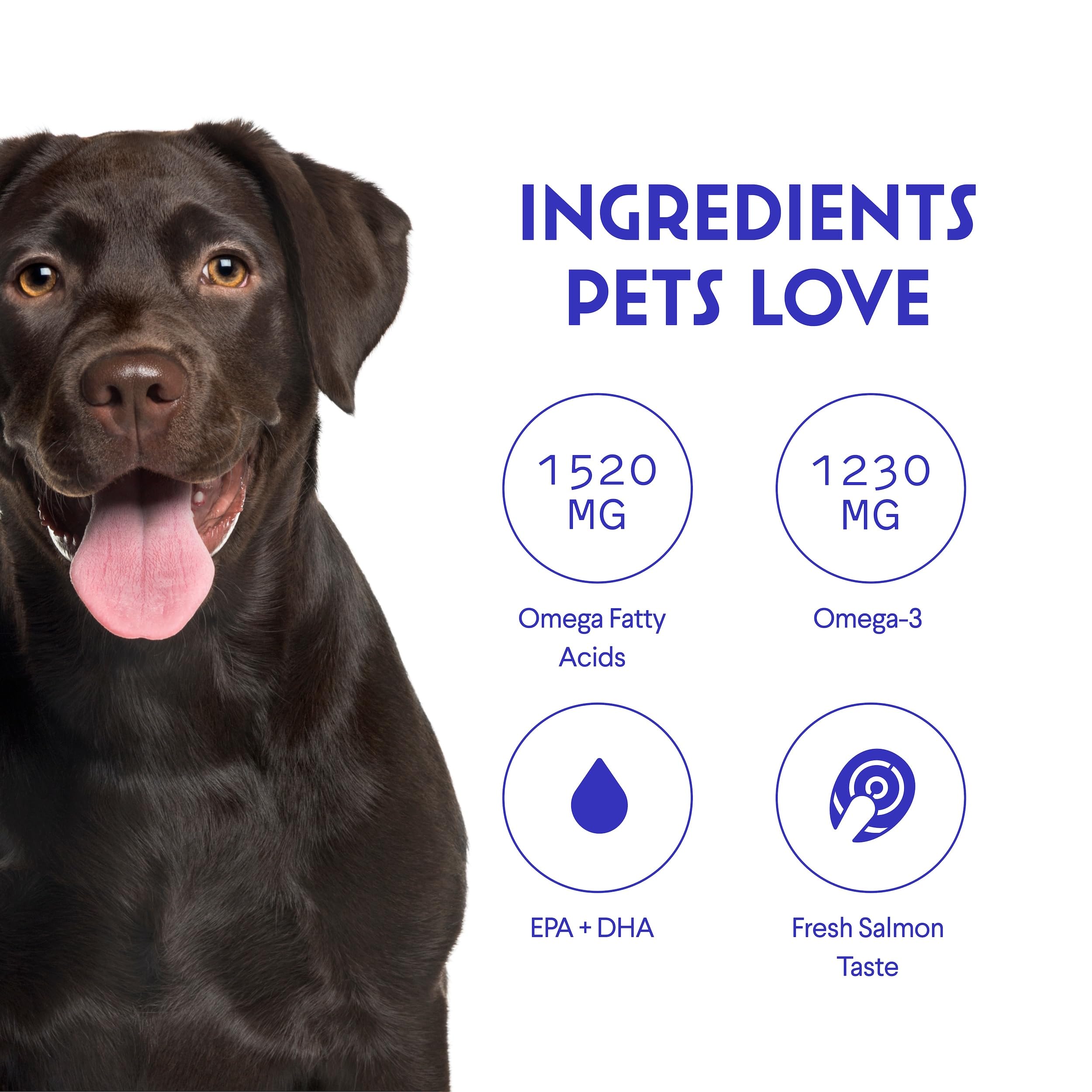 Soporte a articulaciones y movilidad con Wonder Paws Omega 3