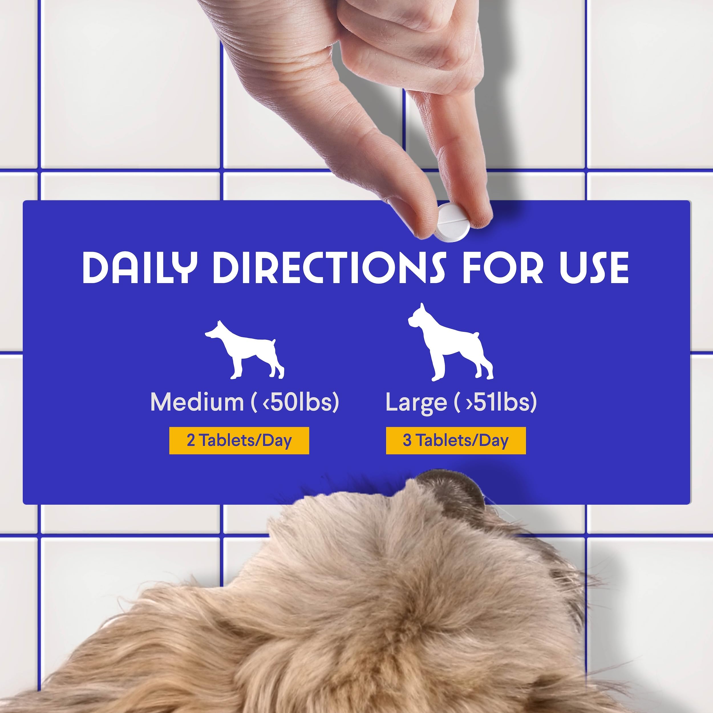 Wonder Paws B12 para absorción mejorada, beneficios para perros de todos los tamaños.