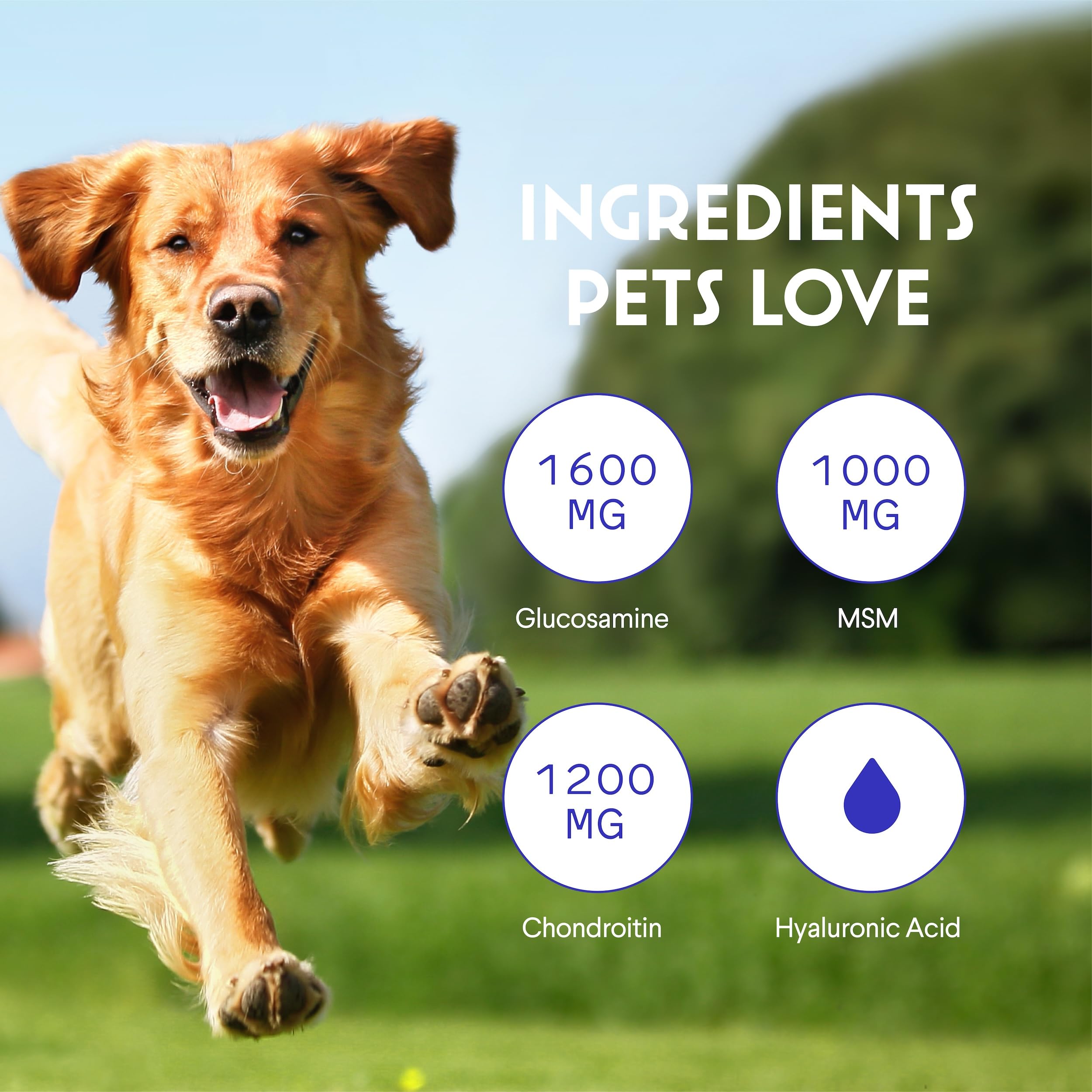 WONDER PAWS botella 32 onzas para cuidado articular prolongado