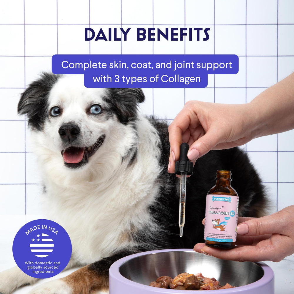 Wonder Paws colágeno para perros, pelaje brillante y sedoso