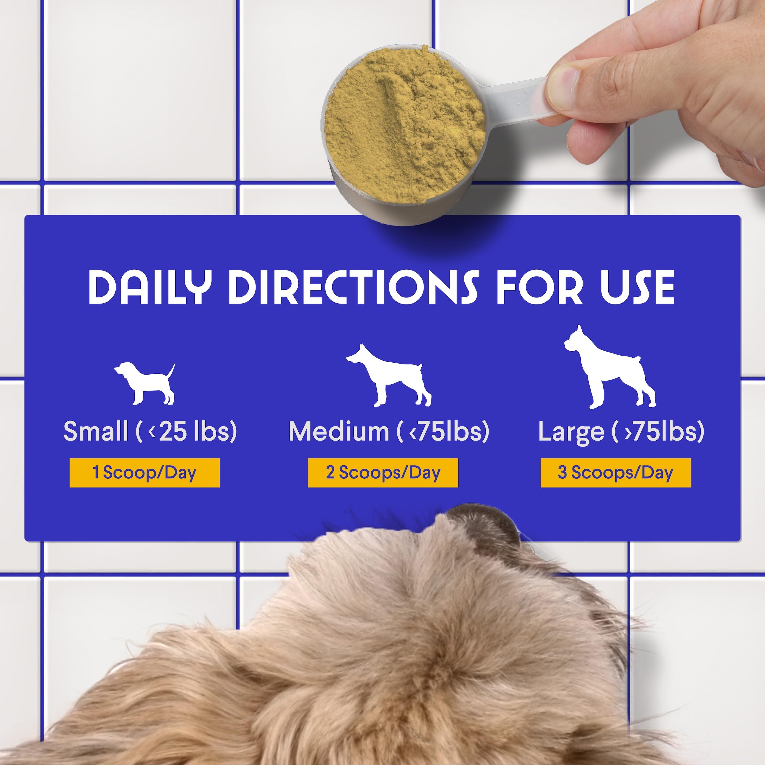 Wonder Paws digestión-perros: confort digestivo diario