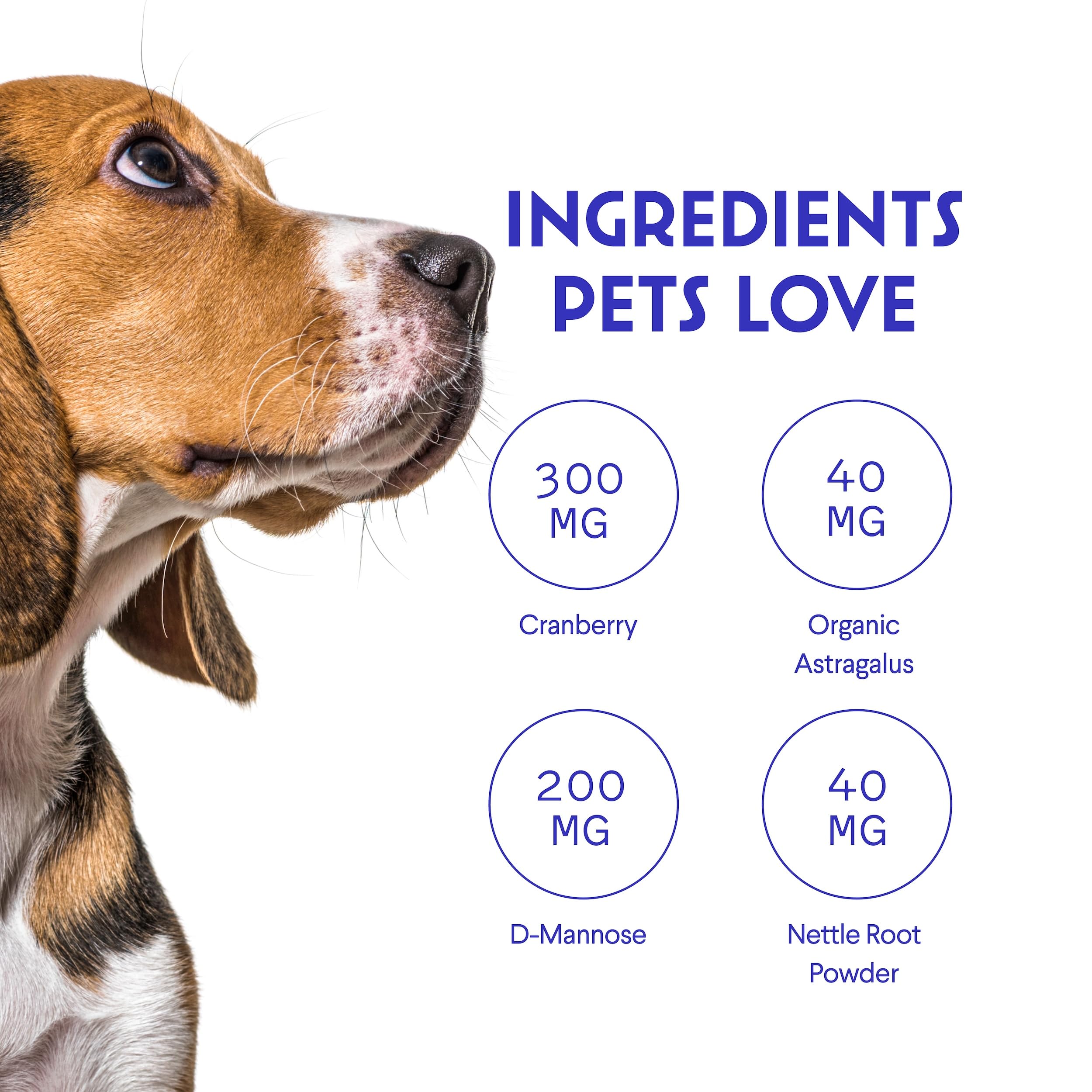 Sabor agradable de Wonder Paws facilita añadirlo al alimento diario.