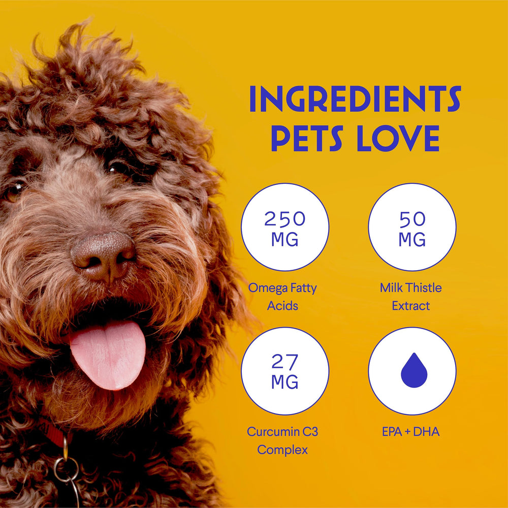 Wonder Paws sabor agradable para perros, sin necesidad de cápsulas
