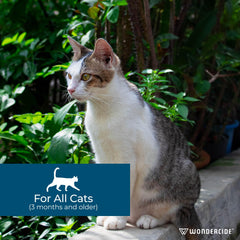 Wondercide para gatos aceites naturales: aroma suave de aceites esenciales para repeler.