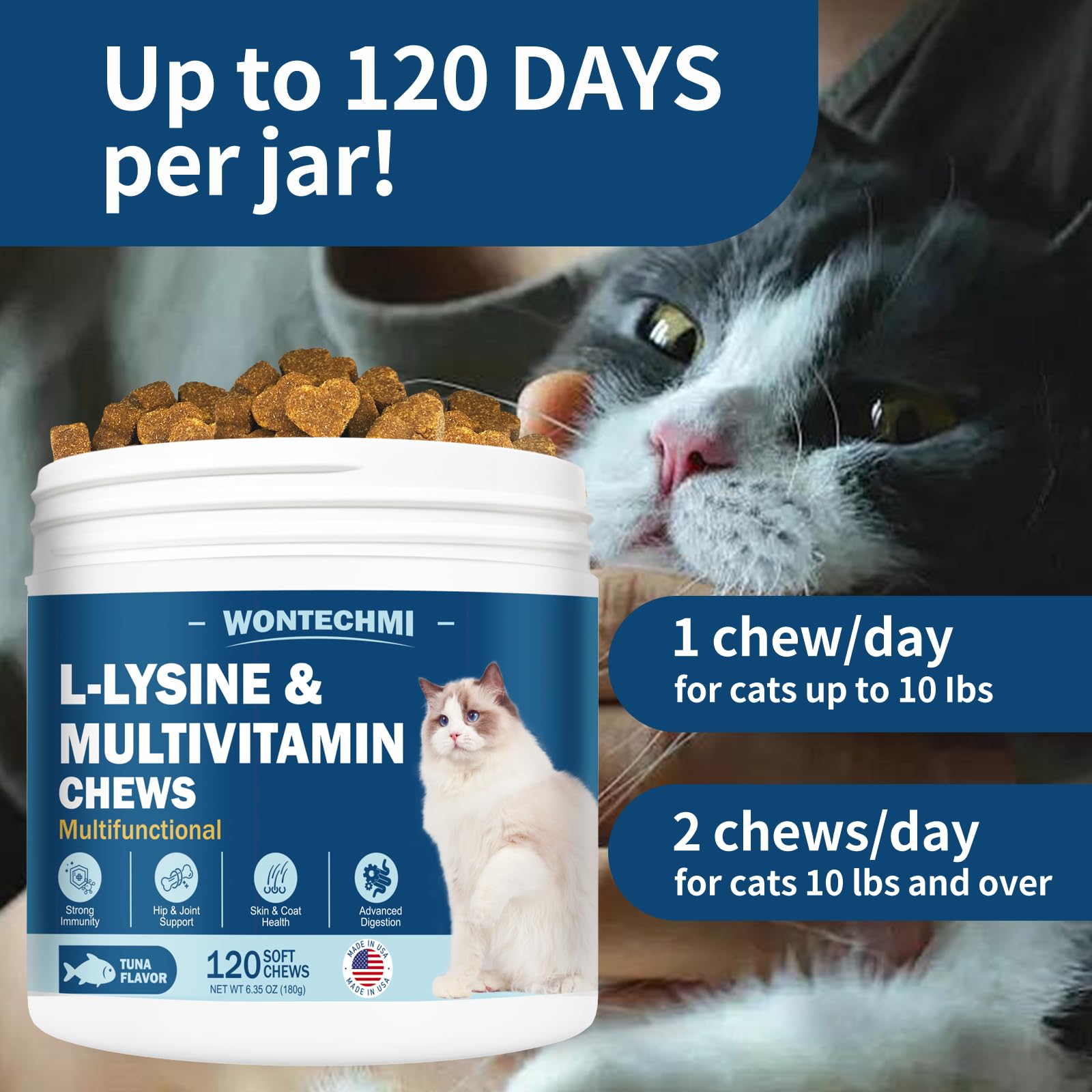 WONTECHMI lisina para gatos, cuidado de articulaciones y pelaje