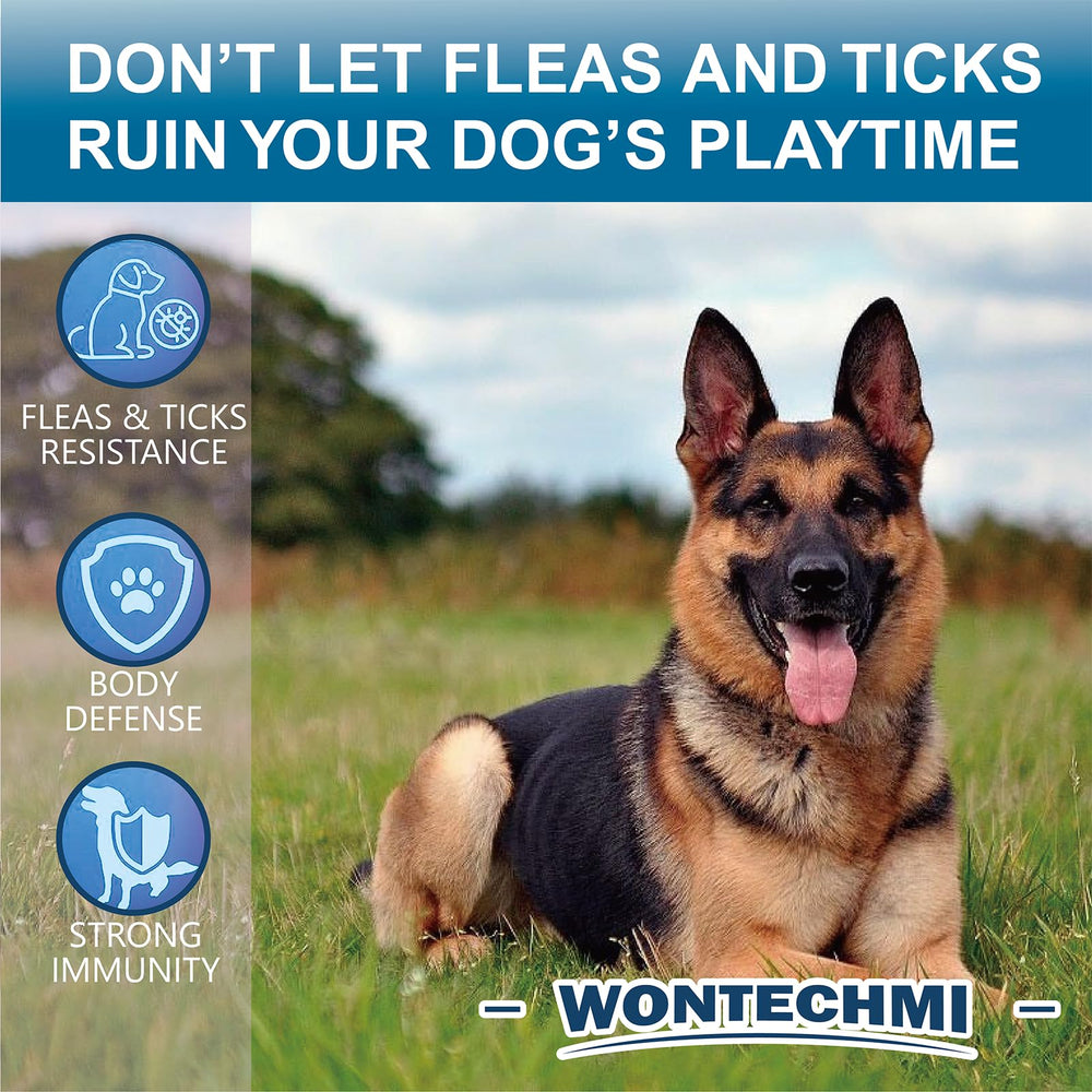 WONTECHMI: perro con pelaje brillante gracias a vitaminas de las tabletas.