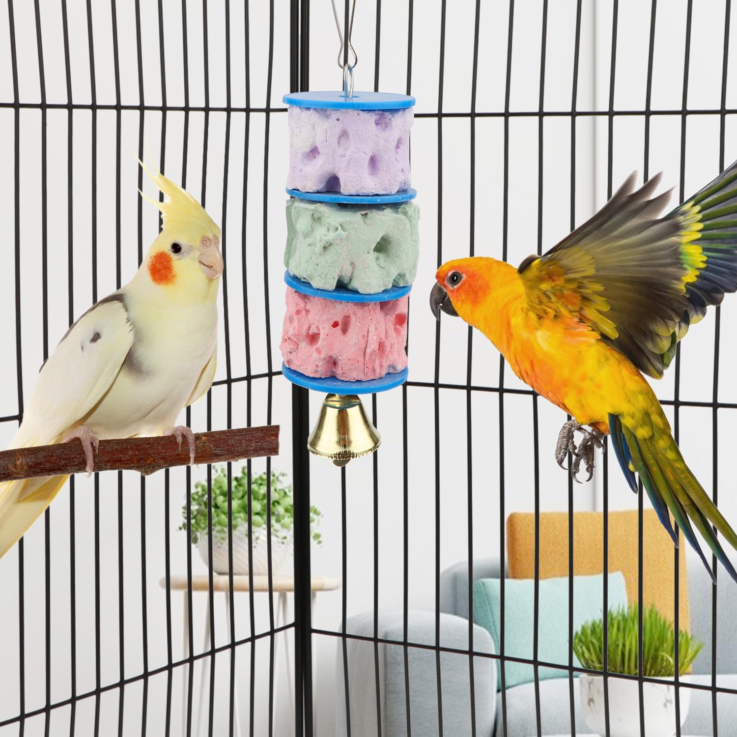 Wontee calcio para aves: diseño colorido que atrae la atención.
