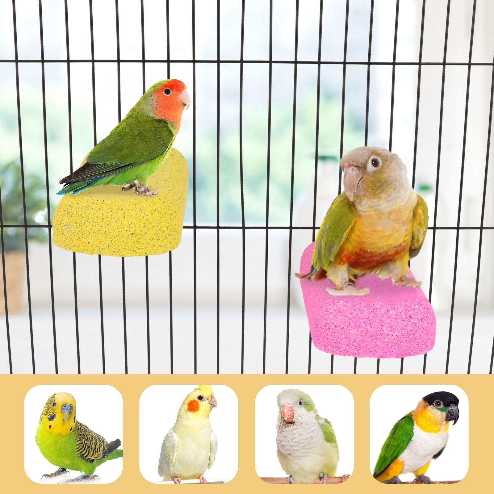 Wontee juguete piedra pómez para aves, masticación segura y estimulación sensorial.
