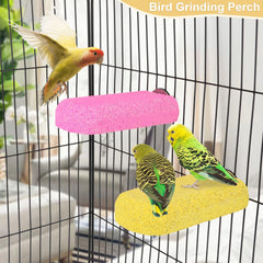 Wontee percha molienda fucsia para aves, estimulación visual y actividad prolongada.