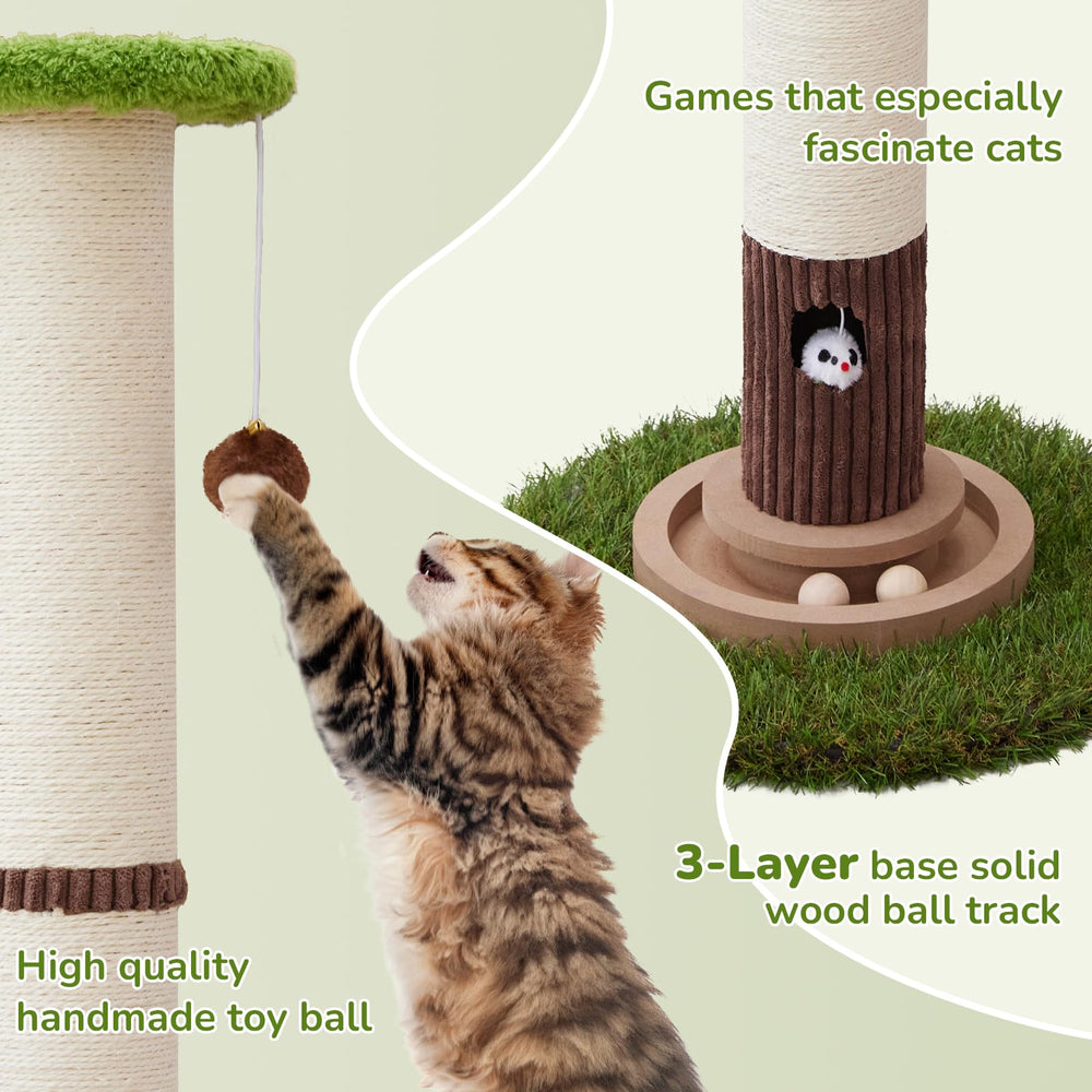 Woochpet agujero con ratón añade exploración y juego interactivo
