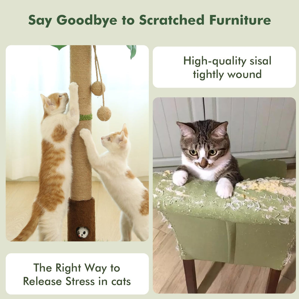 Woochpet rascador-gato-base-amplia: ofrece estabilidad para todas las edades.