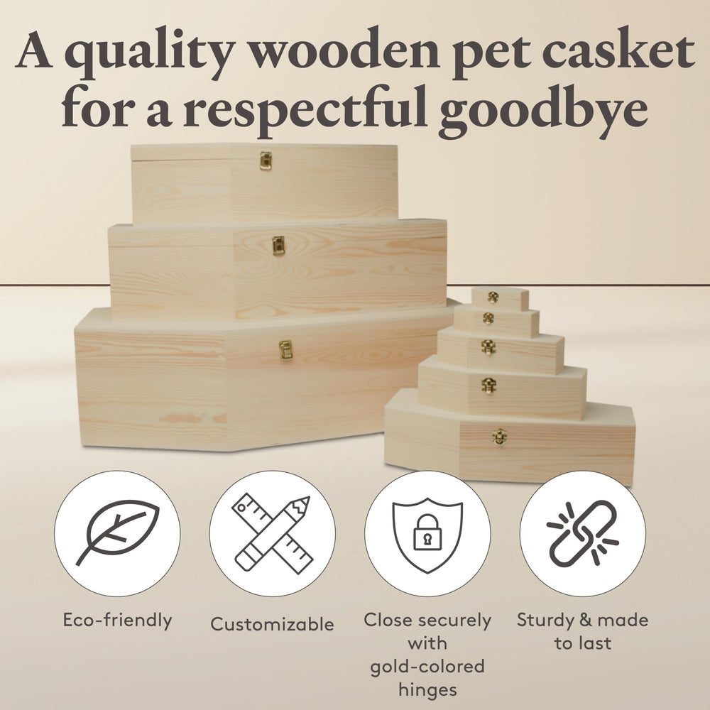 Woodpeckers caja de descanso para mascotas duradera y protegida