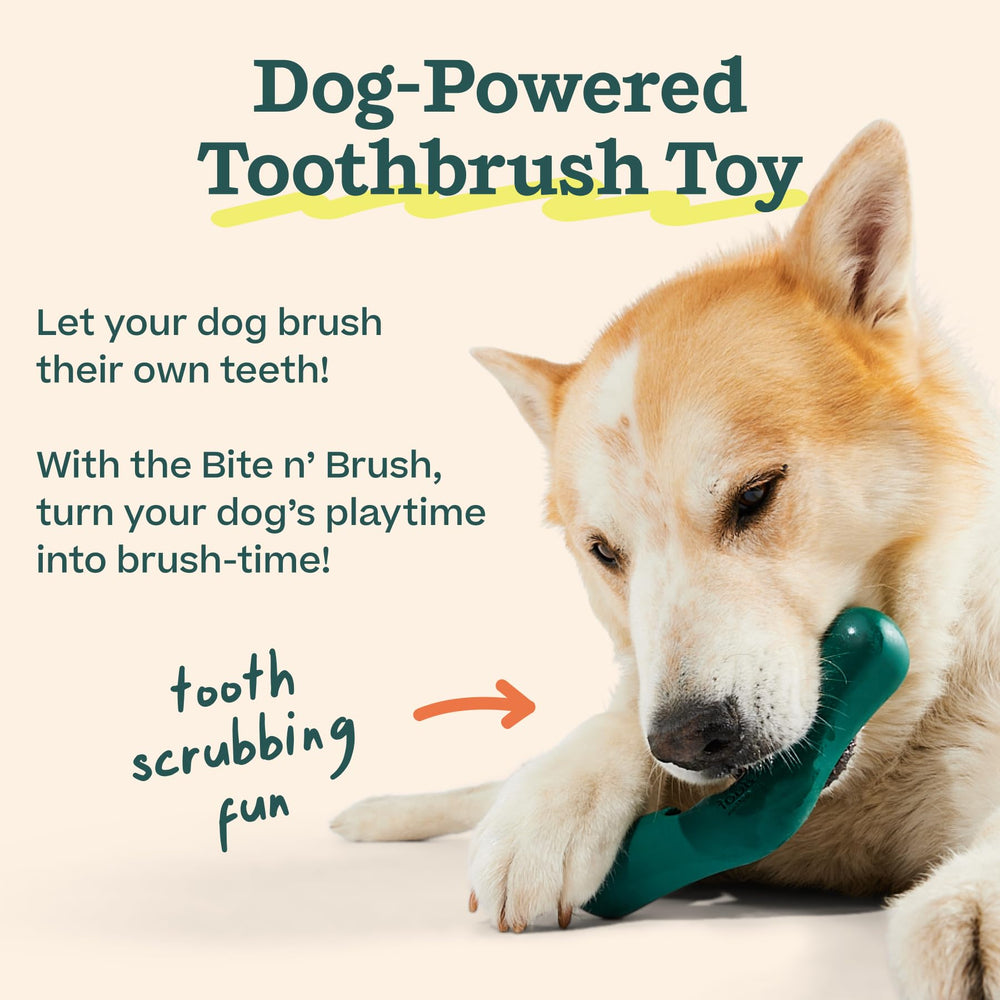 WOOF Bite n' Brush recargas-uso-facil para dueño ocupado