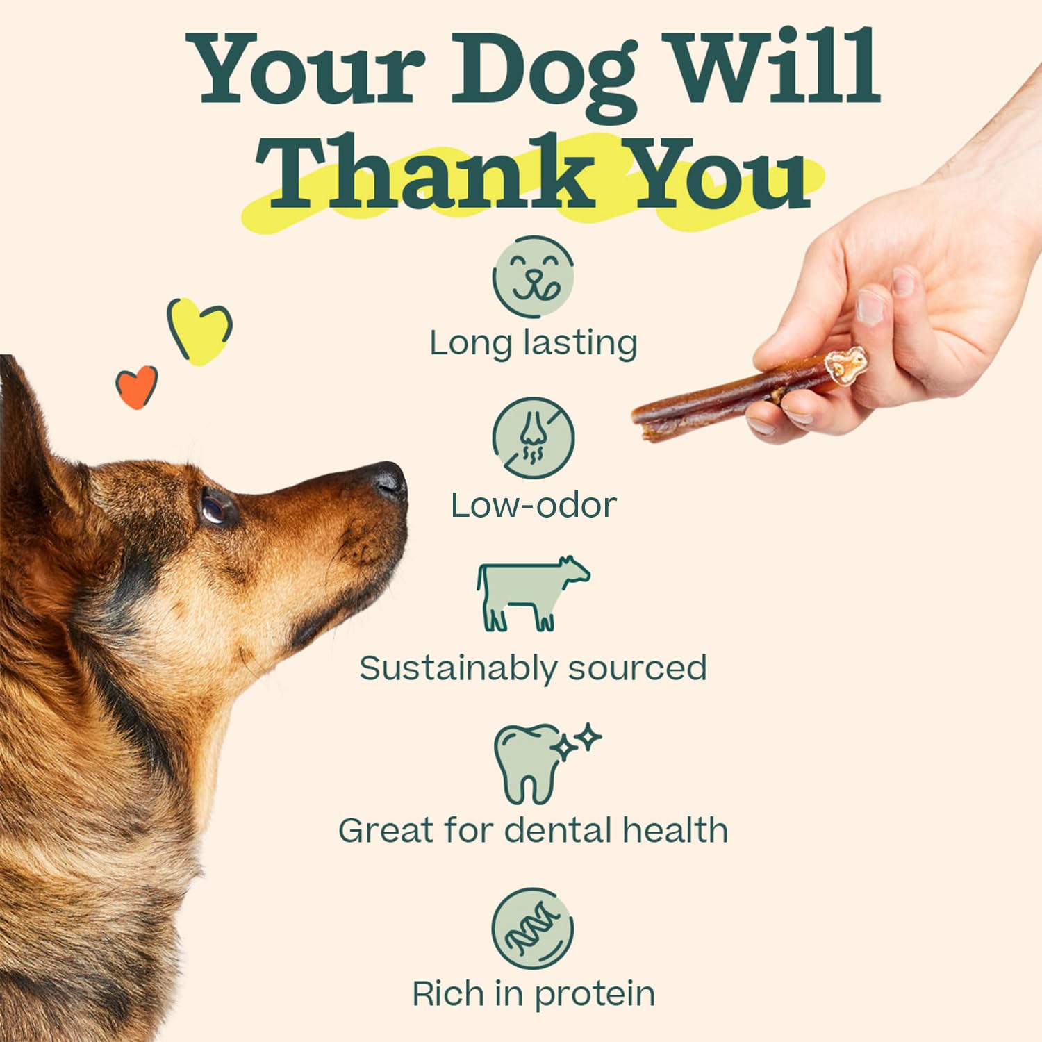 WOOF Bully Sticks, variedad de tallas, aptos para perros pequeños, medianos y grandes.