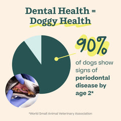Equilibrio del microbioma oral con enzimas dentales de Woof
