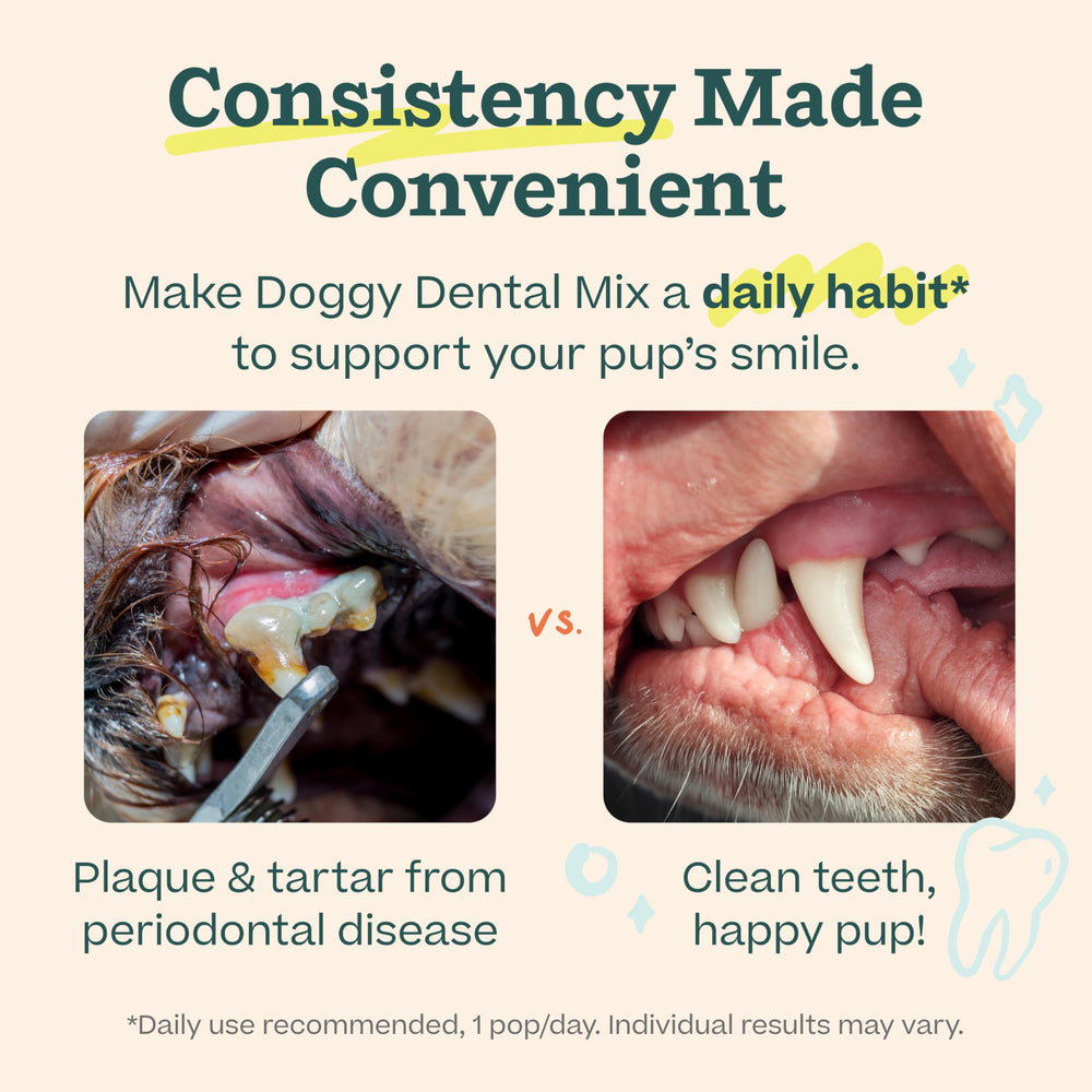 Postbióticos para apoyar una biota oral saludable