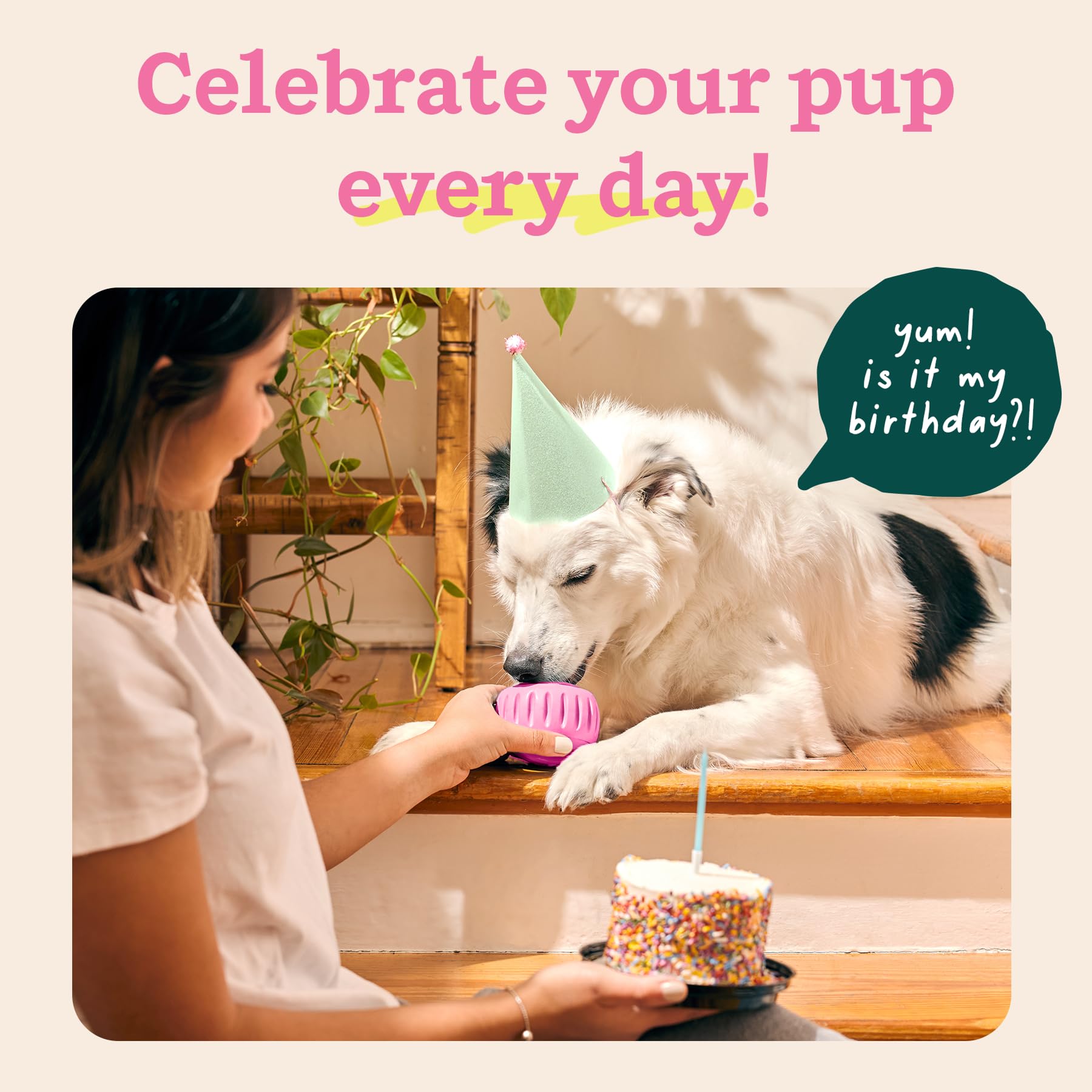 WOOF Party Pupsicle: diseño resistente y seguro para masticadores fuertes.