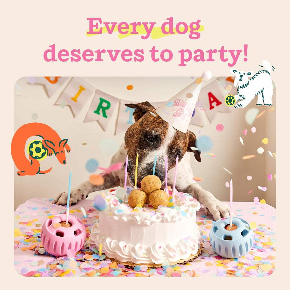 WOOF Party Pupsicle, hecho en Denver, con enfoque en bienestar de mascotas.