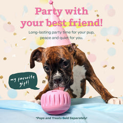 WOOF Party Pupsicle: llenado fácil, limpieza rápida para uso diario.